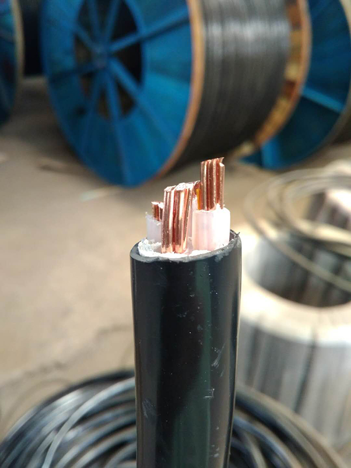 電力電纜